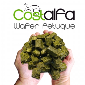 Costalfa Wafer Fetuque 20 kg