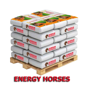 Guidolin Energy Horses palette 48 bags