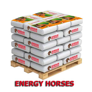 Guidolin Energy Horses Palette 48 Säcke