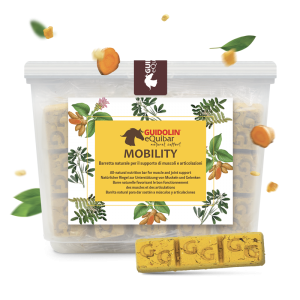 Equibar Mobility 700 gr